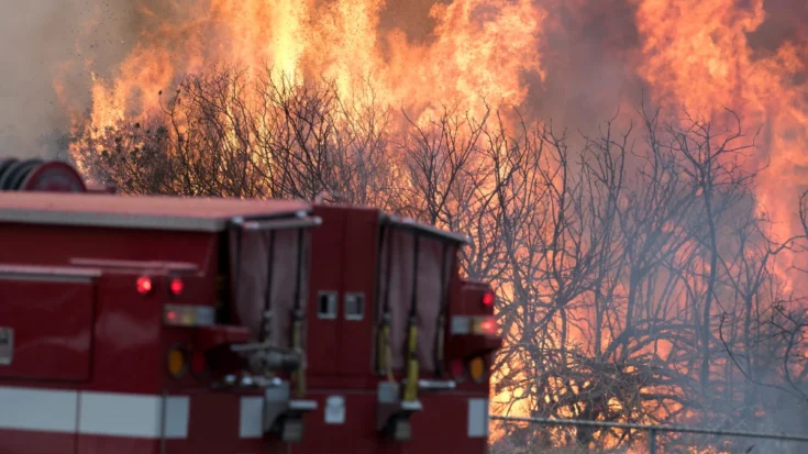 Wildfire Sensor in Open Areas the Importance and the Example of Sensor that You Need to Know 3