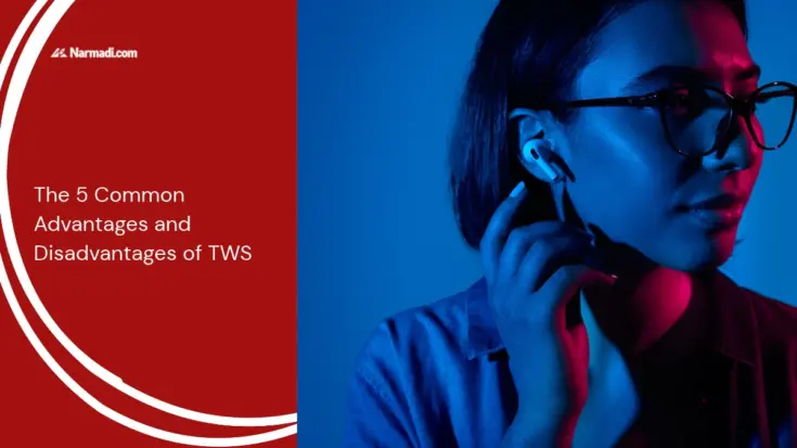 The 5 Common Advantages and Disadvantages of TWS