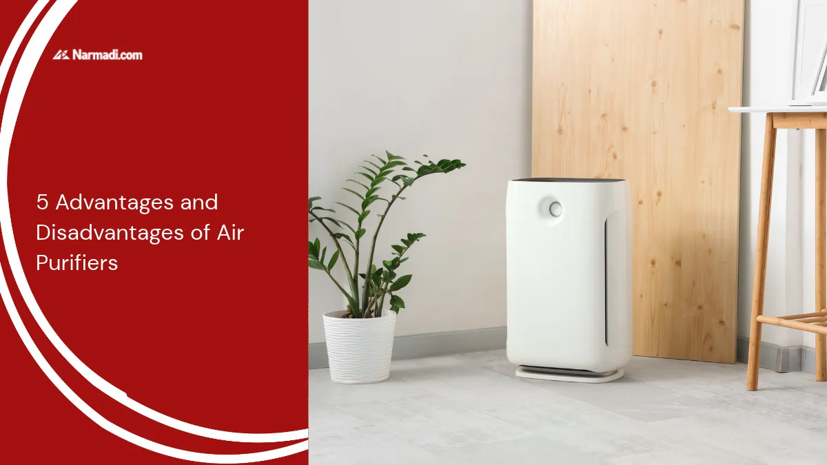 5 Advantages and Disadvantages of Air Purifiers