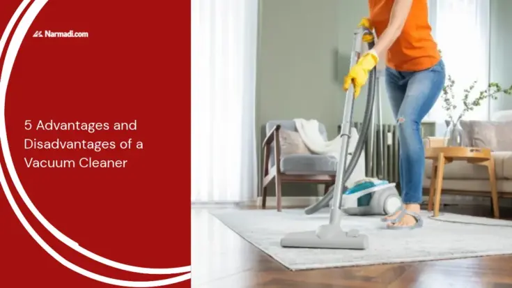5 Advantages and Disadvantages of a Vacuum Cleaner