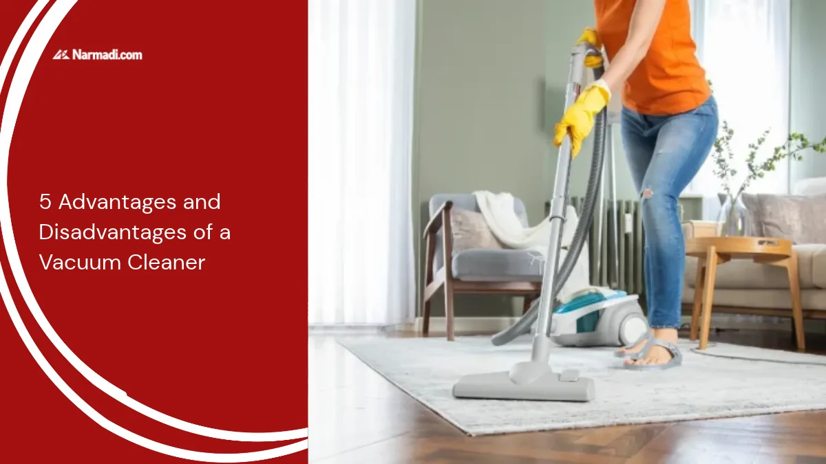 5 Advantages and Disadvantages of a Vacuum Cleaner