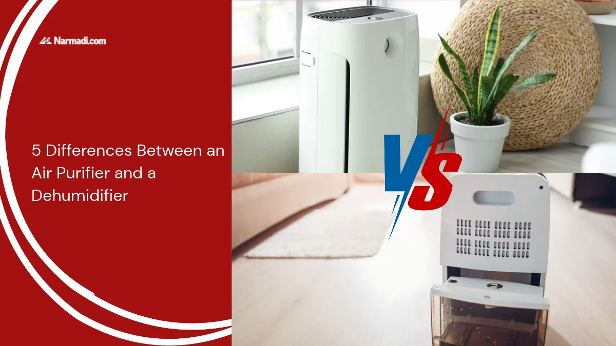 5 Differences Between an Air Purifier and a Dehumidifier