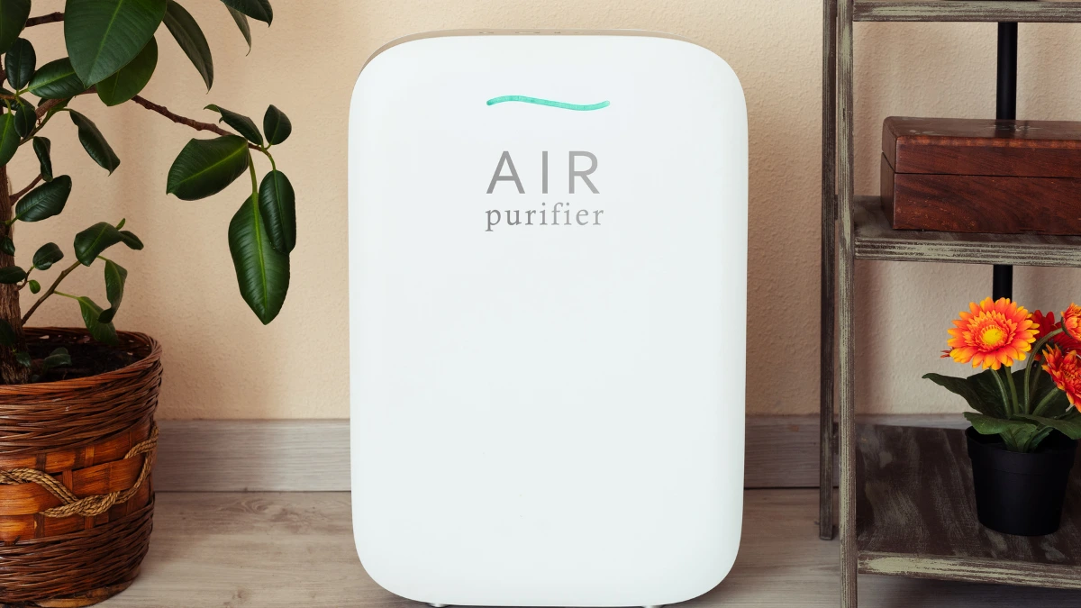 Air Purifier Definition, How it Works, Types of Filter, Benefits, and Regulation in Indonesia