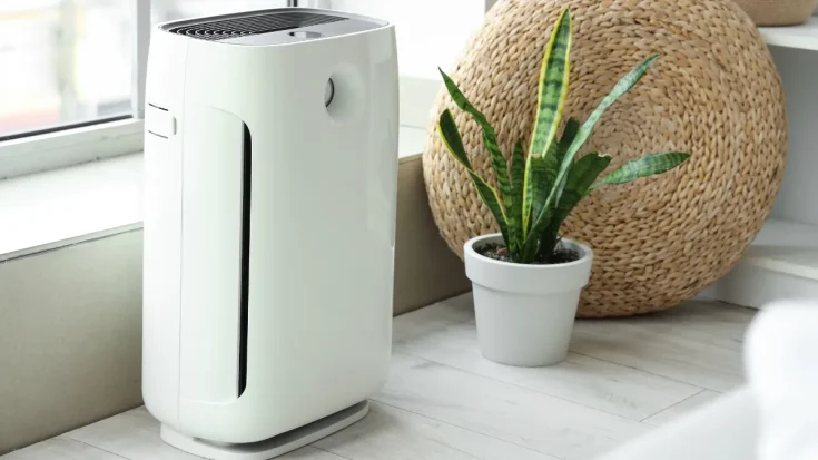 Air Purifier and Dehumidifier Knowing the 5 Differences Clearly 2