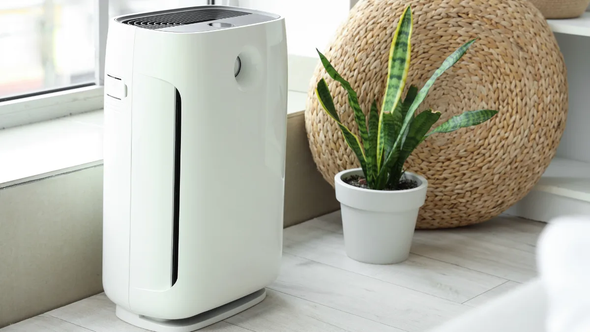 Air Purifier and Dehumidifier Knowing the 5 Differences Clearly 2