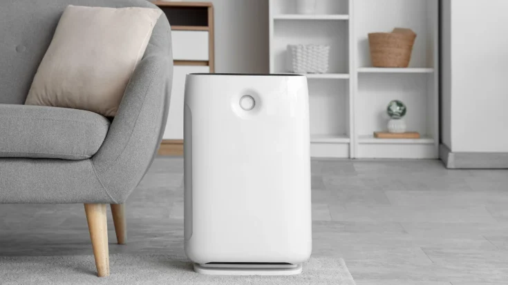 Air Purifier vs Humidifier Knowing the 6 Differences Clearly 2