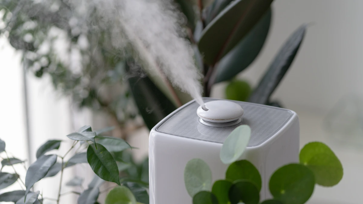 Air Purifier vs Humidifier Knowing the 6 Differences Clearly 3