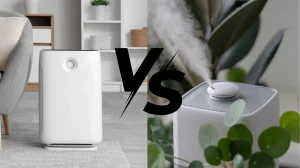 Air Purifier vs Humidifier Knowing the 6 Differences Clearly