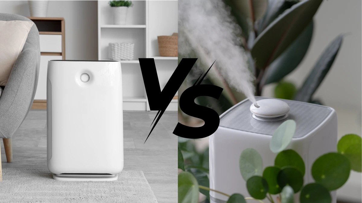Air Purifier vs Humidifier Knowing the 6 Differences Clearly