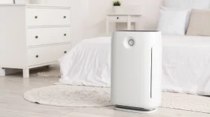 Knowing the 5 Pure Advantages and Disadvantages of Air Purifier
