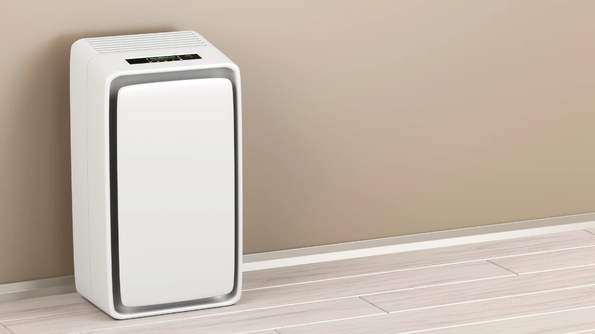Knowing the 5 Pure Advantages and Disadvantages of Air Purifier 4