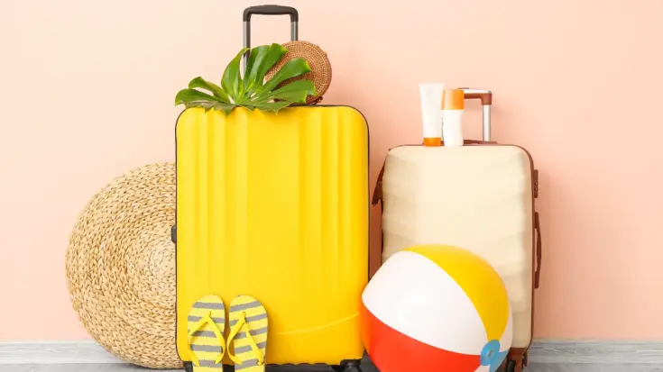 Smart Luggage Definition, Features, Benefits, and Regulation in Indonesia 3