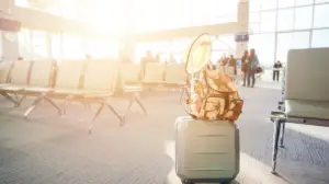 Smart Luggage Testing Standard Based on Ministerial Decree 260 of 2024 and 12 of 2025