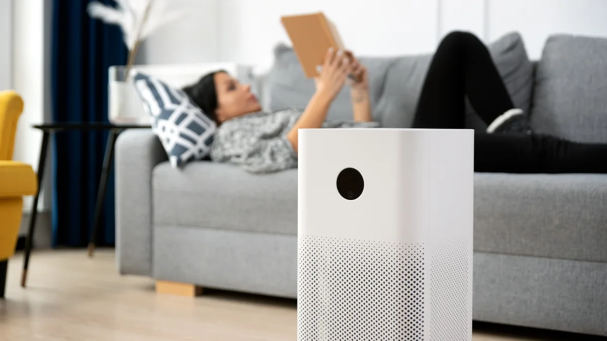 The 5 Best Air Purifier for the SEA Market of Mid 2025 2