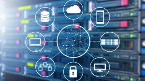 The Types of Servers in Terms of How They Are Used