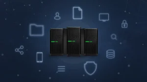 Web Server Definition, Functions, and Advantages 3