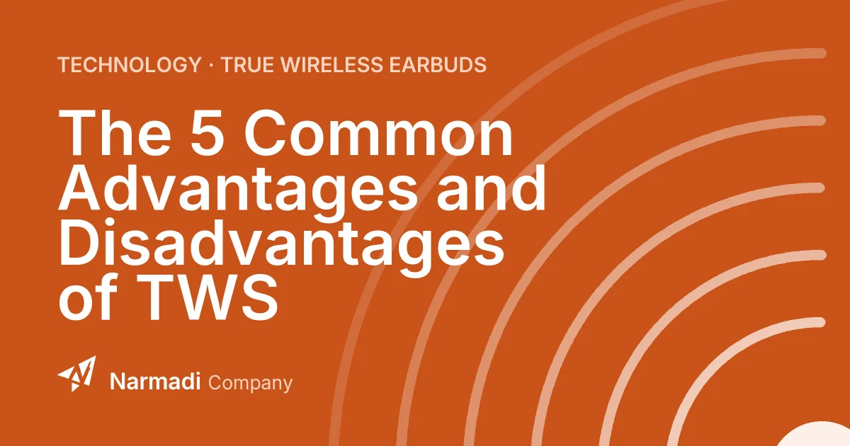 The 5 Common Advantages and Disadvantages of TWS